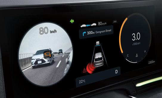 Blind-Spot View Monitor (BVM)