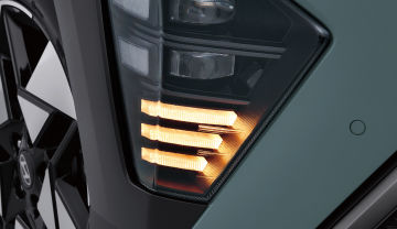 LED turn signal indicators (front/rear)